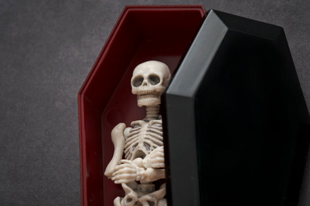 Skeleton in the coffinの写真素材