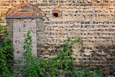 brick wallの写真素材