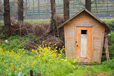 little hut in the tea gardenの写真素材