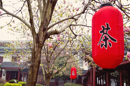 Spring day lantern with chinese character 'Tea'の写真素材