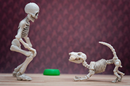 Skeleton and his skeleton dog playingの写真素材
