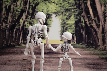 A skeleton and little skeleton walking on a path with treesの写真素材