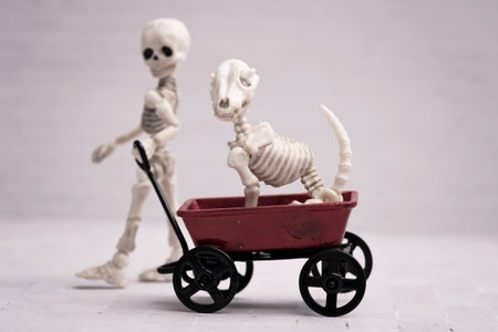 Skeleton child pulling dog in his wagon
