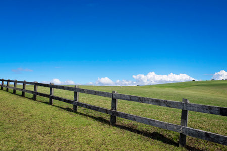 The fence in the meadowの写真素材