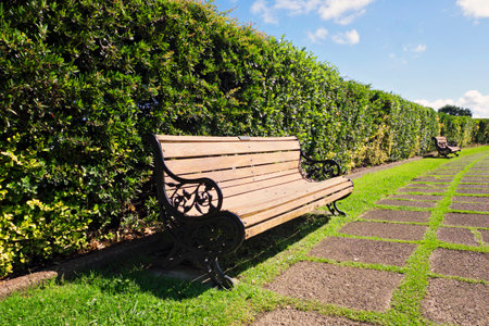 Bench on the parkの写真素材