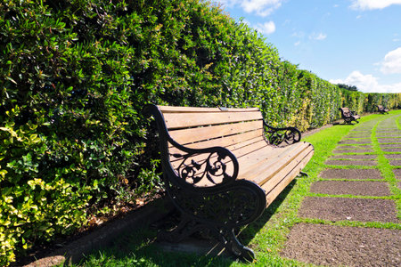 Bench on the parkの写真素材