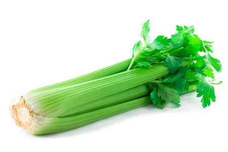 Fresh celery on white background の写真素材