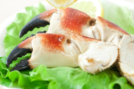 Prepared crab claws with green lettuce and lemon.の写真素材