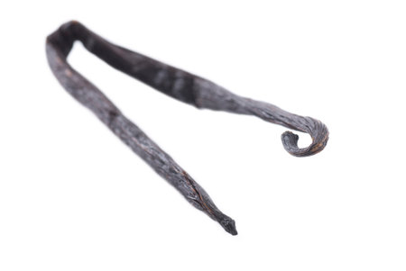 Vanilla pod on white background.の写真素材