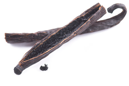 Vanilla pod on white background.の写真素材
