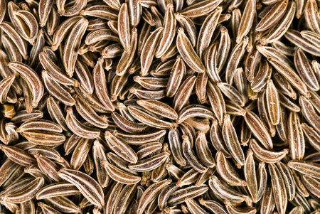 Cumin background close up full frame.の写真素材