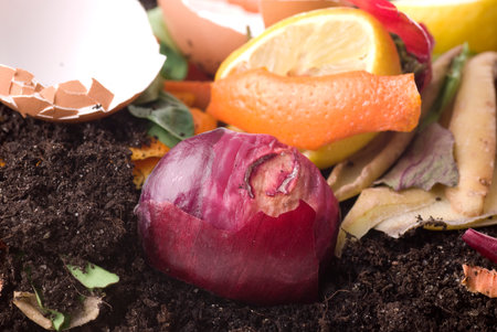Compost material on soil. Cross section.  Close up.の写真素材