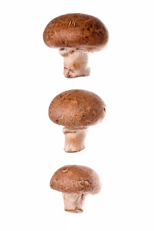 Three mushrooms on white background close up.の写真素材
