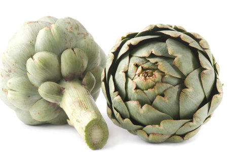 Artichokes on white background.の写真素材