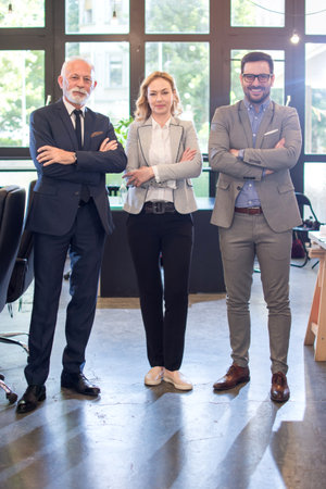 Full length portraits of mixed age group of focused business professionals standing in officeの写真素材