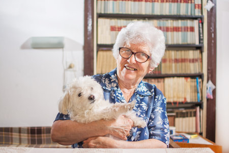 Happy old woman holding Maltese dog at home.の写真素材