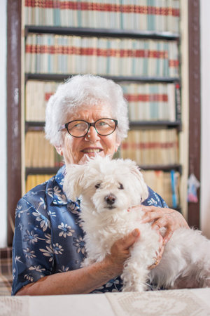 Gray haired old woman holding Maltese dog.の写真素材