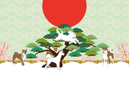 Shiba Inu, Sunrise, pine and plum flower postcards cards materialの写真素材