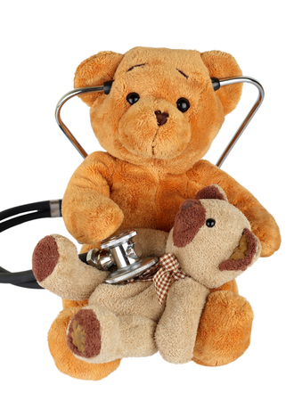 Picture of a teddy bear on isolated backgroundの写真素材