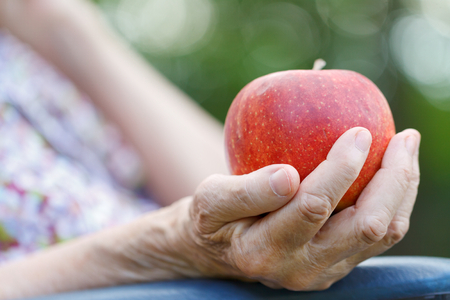 An elderly woman  hand holding red appleの写真素材
