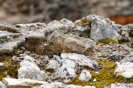 Close up picture of grey stone and moss on a sunny day, hiking, outdoorの写真素材
