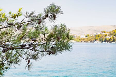 Scenic picture of dalmatian coastline, adriatic seashore near Trogir, Croatia on summertime
