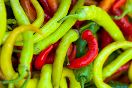 Ripe red and green hot peppers after harvesting - colorful bio vegetablesの写真素材