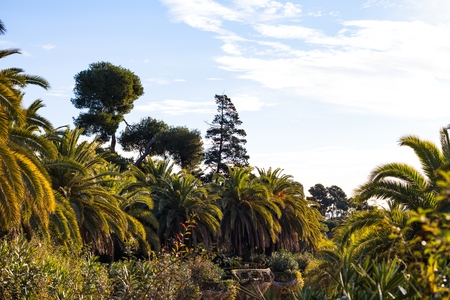 Sunny november morning in Park GÃ¼ell - Gaudi's masterpiece in Barcelona, Spainの写真素材
