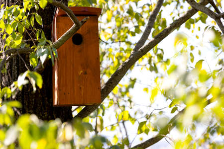 Wooden birdhouse on a tree in the city park