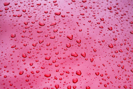 Close up picture of rain drops on red car hoodの写真素材