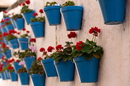 Beautiful geranium pots in a sapin villageの写真素材