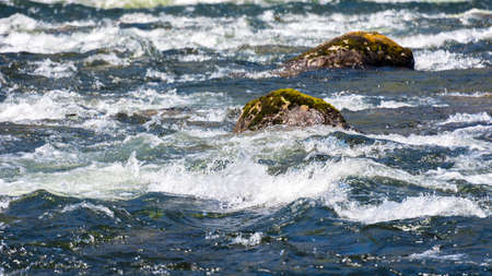 detail from a mountain river in summer time near Eidfjord, Norway