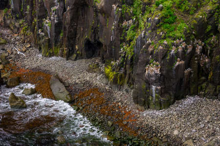 Birds nesting on the rocks of the nature reserve in Skalanes, Iceland during summerの写真素材