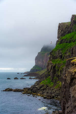 nature reserve for birds in Skalanes, Iceland during a cloudy summer dayの写真素材