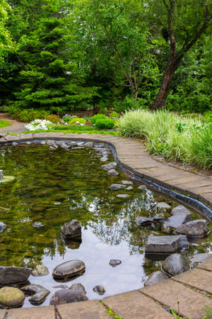 details from the Botanical garden in Akureyri, Iceland during summer seasonの写真素材