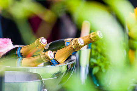 Multiple bottles of champagne in silver bowl in gardenの写真素材