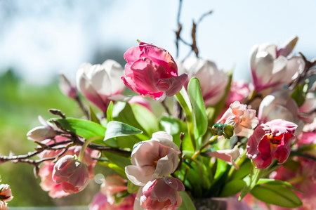 Flower bouquet in front of big window with blue sky backgroundの写真素材