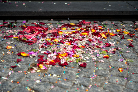 Colorful flower petals on stairs on registry officeの写真素材