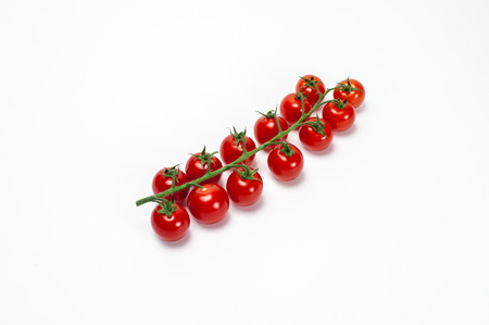 Red cherry tomatoes on twigの写真素材