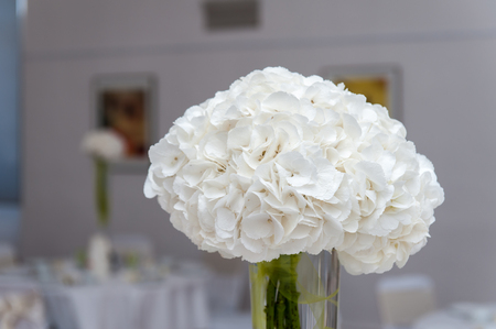 White flower bouquet in a vase with waterの写真素材