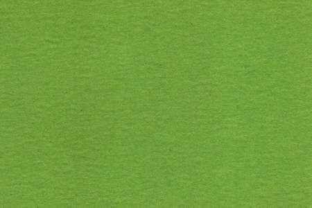 Green Paper Texture. Recycled paper texture background. Scrapbookの写真素材