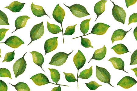 Watercolor green leaves set. Spring garden cute hand drawn floral elementsの写真素材