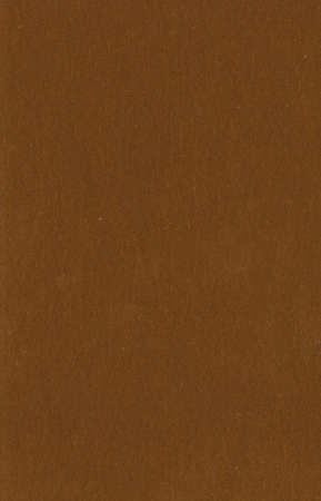 Dark brown grain texture. High quality texture in extremely high resolution. Grunge materialの写真素材