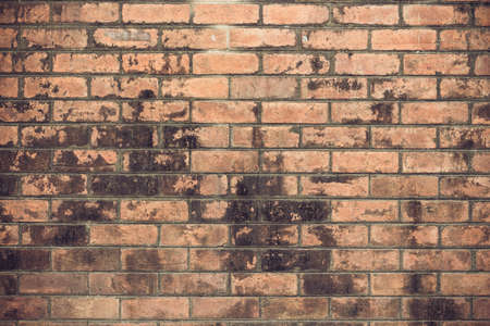old brick wall backgroundの写真素材