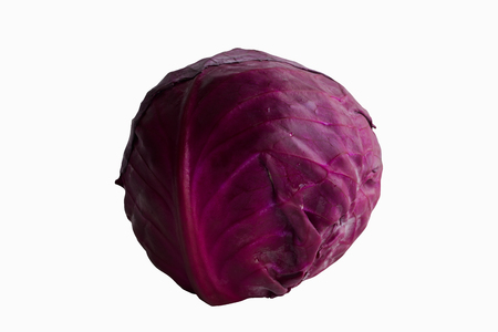 White isolated background with  a fresh purple cabbage in side view with copy space. Prepare vegetable for cooking cabbage salad or coleslaw. Homemade food concept.の写真素材