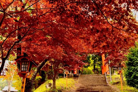 The Shrineの写真素材