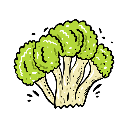 Broccoli hand drawn vector illustration. Cartoon style.のイラスト素材