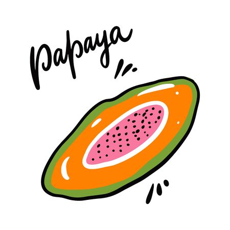 Papaya vector illustration and lettering. Isolated on white background.のイラスト素材