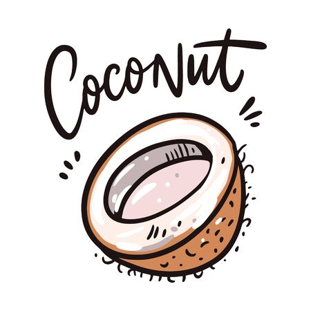 Coconut vector illustration and lettering. Isolated on white background.のイラスト素材