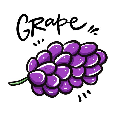 Grape vector illustration and lettering. Isolated on white background.のイラスト素材